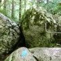 Échelle a un barreau