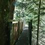 Seconde passerelle
