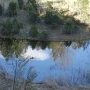 Lac Luitel