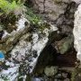Le poisson baisse la tête