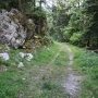 Chemin forestier possible pour le retour