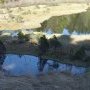 Lac Luitel