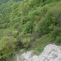 Milieu de l'éperon du Belvédère