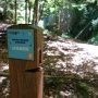 Parcours d'orientation